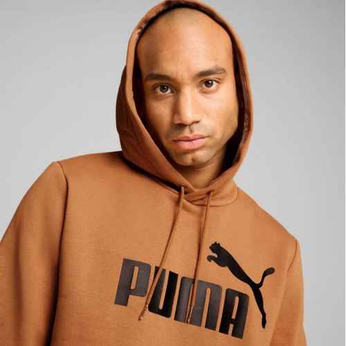 Bluza męska Puma Ess Big Logo Hoodie